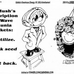 2005-04-27-Dr-Mushs-presecription-for-Wave-Petunias-(Galletta's-Greenhouse)